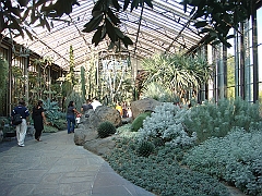 407 Longwood Gardens [2008 August 23]